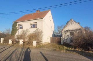 Einfamilienhaus kaufen in 04924 Bad Liebenwerda, Beiersdorf- Großes Wohnhaus/ Bauernhof mit weitläufigem Gartengrundstück in Ortsrandlage!