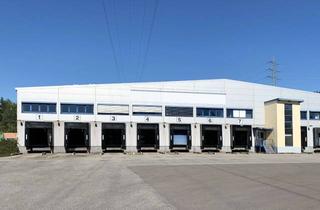 Büro zu mieten in Am Ochsenwald, 66539 Neunkirchen, Hallenfläche mit Büro nach Absprache **provisionsfrei** zu vermieten