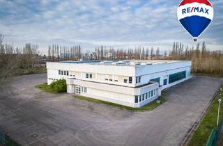 Gewerbeimmobilie kaufen in 39576 Stendal, Effizienter Logistikstandort mit zwei Hallen, Büroflächen & Rangierhof in Stendal
