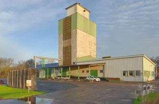 Gewerbeimmobilie kaufen in Sönke-Nissen-Koog 31, 25821 Reußenköge, Silogebäude mit Lagerhalle und Bürotrakt zu verkaufen