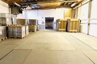 Gewerbeimmobilie mieten in Hirschhorner Straße 90, 64743 Beerfelden, Gewerbehalle 500 m² mit Laderampe – perfekte Lösung für Lager & Versand