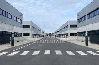 Gewerbeimmobilie mieten in 30179 Brink-Hafen, Zwischen 828 m² - 2.068 m² große Lager-/Produktionsflächen