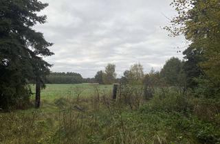 Grundstück zu kaufen in 16775 Löwenberger Land, Grundstück mit tollem Blick