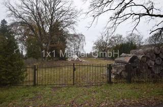 Grundstück zu kaufen in Mühlenweg 12, 19230 Hoort, 3.425 m² Baugrundstück in Neu Zachun