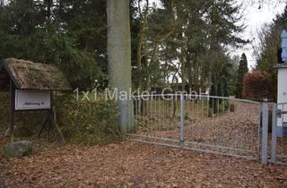 Grundstück zu kaufen in Mühlenweg 14, 19230 Hoort, 6.589 m² Grundstück mit Ferienhaus in Neu Zachun