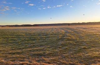 Grundstück zu kaufen in Im Winkel, 87748 Fellheim, Landwirtschaftliche Äcker und Wiesen
