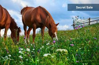 Immobilie kaufen in 88690 Uhldingen-Mühlhofen, Exklusive Hofstelle mit Reitanlage und genehmigtem Campingplatz nahe Bodensee