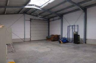 Geschäftslokal mieten in 93164 Laaber, Ladenfläche mit großem Schaufenster und Hallenanbau