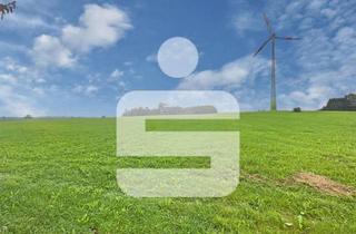 Gewerbeimmobilie kaufen in 87651 Bidingen, Verpachtetes Grünland bei Bidingen