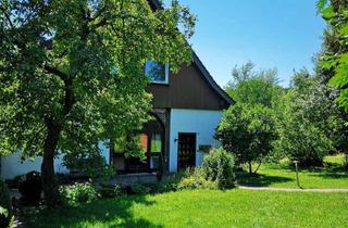 Wohnung mieten in 33619 Babenhausen, 5-Zi Maisonettewohnung mit Traumgarten & Kamin in Sackgassenlage, BI-Babenhausen