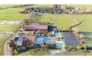 Einfamilienhaus kaufen in 26969 Butjadingen, Charmantes Einfamilienhaus mit Einliegerwohnung und guten Möglichkeiten für Pferdehaltung