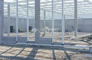 Gewerbeimmobilie mieten in 92648 Vohenstrauß, Individuell gestaltbarer Gewerbehallenneubau zur Lagerung, Logistik und Produktion nahe der A6