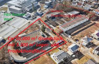 Gewerbeimmobilie kaufen in Waldstraße, 74731 Walldürn, 3.300 m² Lager- und Produktionsgebäude mit 10.000 m² Grundstück