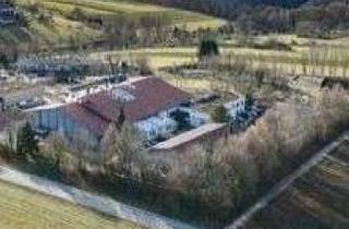 Gewerbeimmobilie kaufen in 73252 Lenningen, Großzügiges Gewerbeanwesen in gut anfahrbarer Lage von Lenningen-Schopfloch