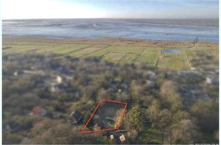 Grundstück zu kaufen in 25813 Husum, Schobüll Toplage: Wunderschöner Bauplatz auf großem Dünengrundstück in Westausrichtung !