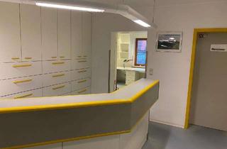 Praxen mieten in Hauptstr. 49, 86757 Wallerstein, ideal geschnittene Praxis in Wallerstein nahe Nördlingen mit schönen hellen Räumen