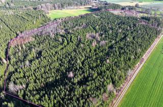 Gewerbeimmobilie kaufen in 87755 Kirchhaslach, Forstliches Kapitalanlageobjekt - top gepflegte, arrondierte Waldliegenschaft auf Hochleistungsstand