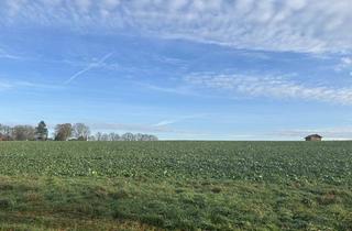 Immobilie kaufen in 27211 Bassum, Ackerfläche in Bassum-Neubruchhausen! Bieterverfahren bis zum 15.01.2026!