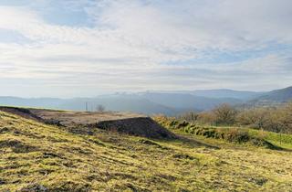 Immobilie kaufen in 56132 Frücht, Erschlossenes Baugrundstück im Neubaugebiet – sofort bebaubar