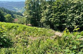 Grundstück zu kaufen in 77883 Ottenhöfen, Ottenhöfen im Schwarzwald - ERSCHAFFEN SIE IHREN WOHNTRAUM IM GRÜNEN