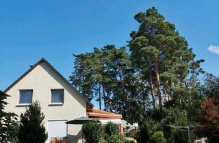 Einfamilienhaus kaufen in 16348 Wandlitz, Wandlitz - Einfamilienhaus auf 1200qm Grundstück zu verkaufen
