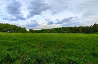 Haus kaufen in 14532 Kleinmachnow, Kleinmachnow - Haus | großes Grundstück