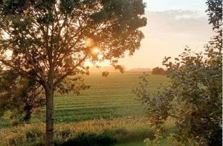 Wohnung mieten in Mühlenweg 21, 25761 Warwerort, 2,5-Zimmer Dachgeschosswohnung mit Balkon in Warwerort