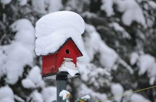 Haus kaufen in 48249 Dülmen, Den Winter genießen, im kuscheligen Eigenheim! Schlüsselfertige Häuser von Bien-Zenker!