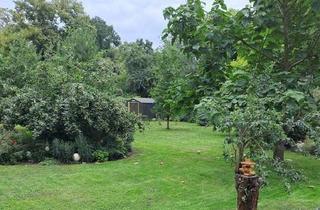 Haus kaufen in 06420 Könnern, Erstbezug nach Sanierung : Kleines EFH auf 2500m² Grundstück