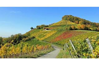 Grundstück zu kaufen in 97252 Frickenhausen, Bauplatz I Feldrandlage & Südhang am Weinberg