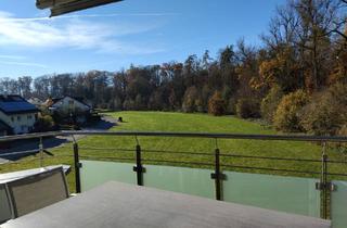 Penthouse mieten in 88441 Mittelbiberach, Komfortable und barrierefreie 2,5 Zimmer Penthouse-WHG mit EBK und TG-Stellplatz zu vermieten!