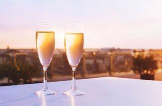 Haus kaufen in 01326 Dresden, Ein Glas Wein in der Abendsonne mit Blick auf die Elbe