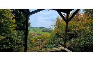 Haus kaufen in 63860 Rothenbuch, Rothenbuch - Grundstück mit Hütte am Herrlesberg