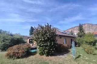 Einfamilienhaus kaufen in 55583 Bad Kreuznach, Bad Kreuznach - Modernisiertes Einfamilienhaus mit 4 Zimmern in Ebernburg