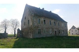 Haus kaufen in 06333 Hettstedt, Hettstedt - historisches Herrenhaus auf großem Grundstück verkaufen
