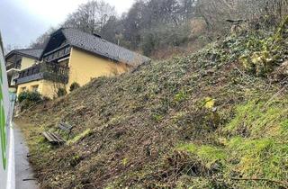 Grundstück zu kaufen in 54614 Schönecken, Schönecken - Grundstück zu verkaufen in Schönecken 22.000,00 ? 801 m²