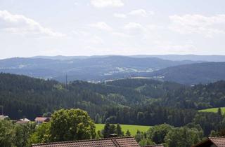 Wohnung kaufen in 94255 Böbrach, Wohnen mit Charme: 3-Zimmerwohnung mit Aussichtslage im Bayerischen Wald