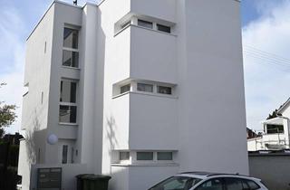 Wohnung mieten in Zeppelinstrasse 13 a, 69168 Wiesloch, Attraktive 1-Zimmerwohnung mit Küche und Bad in zentraler Lage