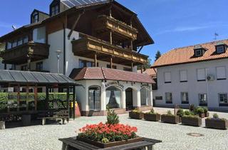 Wohnung mieten in Hauptstraße 30, 94253 Bischofsmais, 3-Zimmer Wohnung / Südseite in Bischofsmais