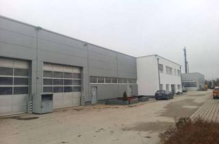 Gewerbeimmobilie mieten in Dieselstr, 86558 Hohenwart, moderne Produktionshalle mit 5 to. Brückenkran