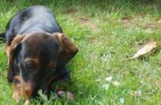 Grundstück zu kaufen in 16341 Panketal, Zwischen Stadt und Natur – Exklusives Wohnen in Panketal OT Zepernick, besser geht es nicht.