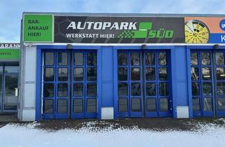 Büro zu mieten in Sülzborn, 39128 Sülzegrund, Großzügig verglaster Verkaufsraum, Werkstatthalle und Büro