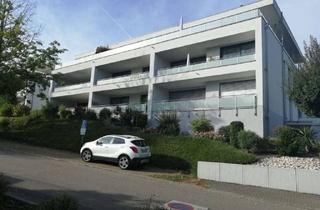 Wohnung mieten in Bergseestraße 73, 79713 Bad Säckingen, Helle , moderne 2-ZW, Bad Säckingen, Kurgebiet