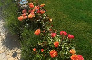 Haus mieten in 48329 Havixbeck, Exklusives Designerhaus mit privatem Pool, Sauna und Kamin, nahe Münster