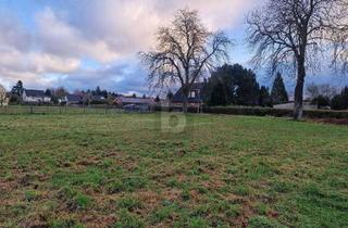 Grundstück zu kaufen in 23942 Dassow, FÜR AUSSTEIGER UND EINSTEIGER!