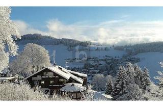 Gewerbeimmobilie kaufen in 79674 Todtnau, Todtnau - DAS BESONDERE MIT VIELEN NUTZUNGSMÖGLICHKEITEN
