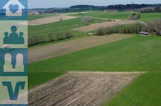 Grundstück zu kaufen in 85567 Grafing, Ca. 6,1 Hektar landwirtschaftliche Flächen samt Scheune südlich von Grafing