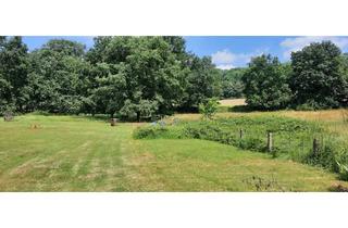 Immobilie kaufen in 33803 Steinhagen, ***Bielefeld nur 12 Minuten: 3 TRAUMHAFTE Grundstücke am Südhang / 3 Flurstücke / Waldrand***