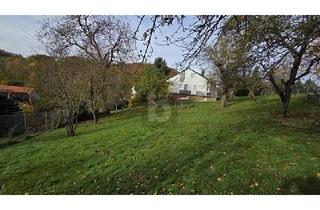 Grundstück zu kaufen in 69483 Wald-Michelbach, Wald-Michelbach - GROß UND GÜNSTIG