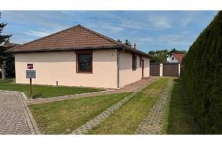 Einfamilienhaus kaufen in 06780 Zörbig, Zörbig - Freistehendes Einfamilienhaus